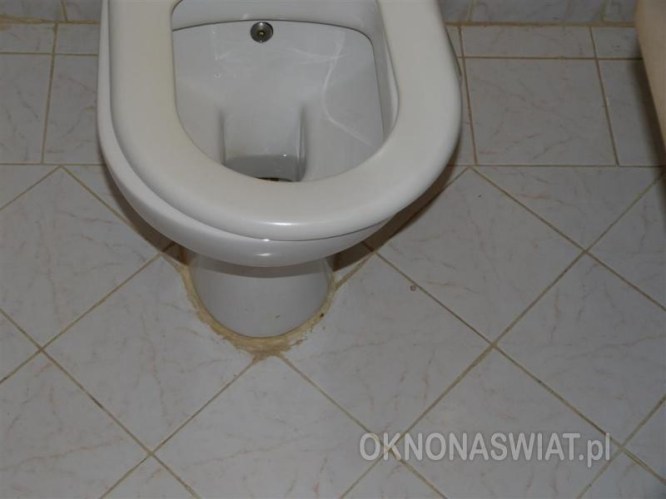 egipt blue reef reso3